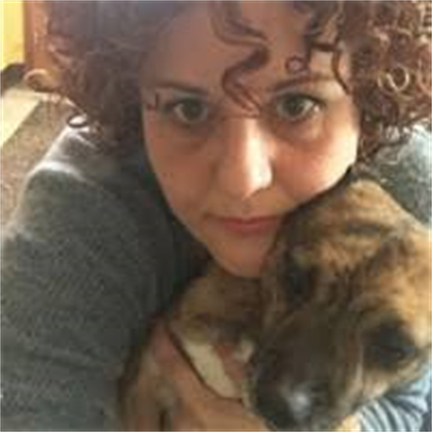 La Nota Del Traduttore